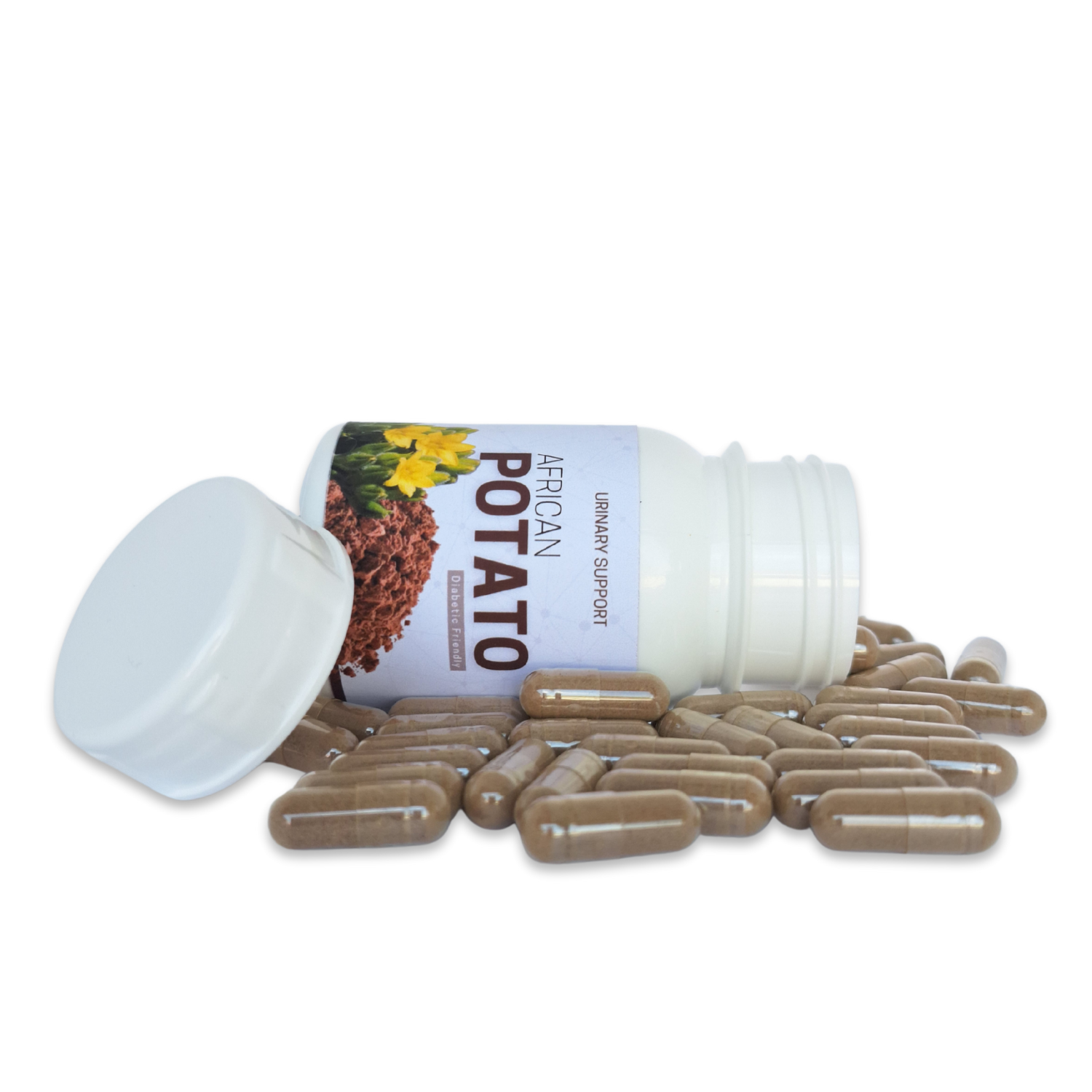 African Potato - 60 Capsules | For UTIs and Bladder Infections