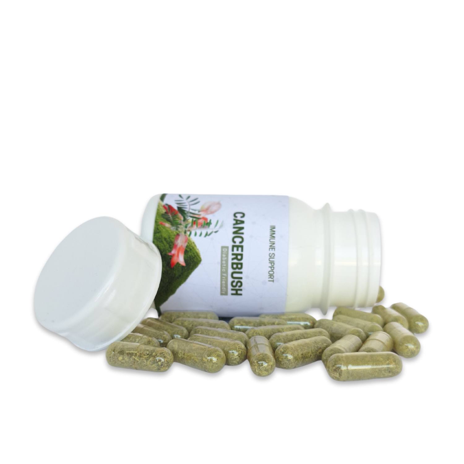 Cancerbush - 60 Capsules | A Great Immune support and Anti-Depressant