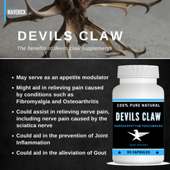 Devils Claw - Benefits