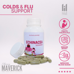 Echinacea - 90 Capsules | A great supplement for the flu & cold season