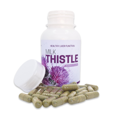 Milk Thistle - 90 Capsules | The best liver support supplement ever