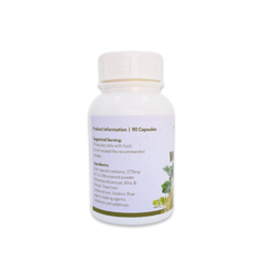 Wormwood - 90 Capsules | Multi-Purpose Healer and Anti-Depressant